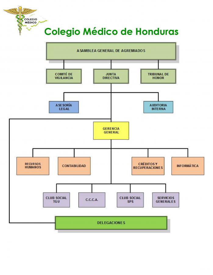 Organigrama CMH 01